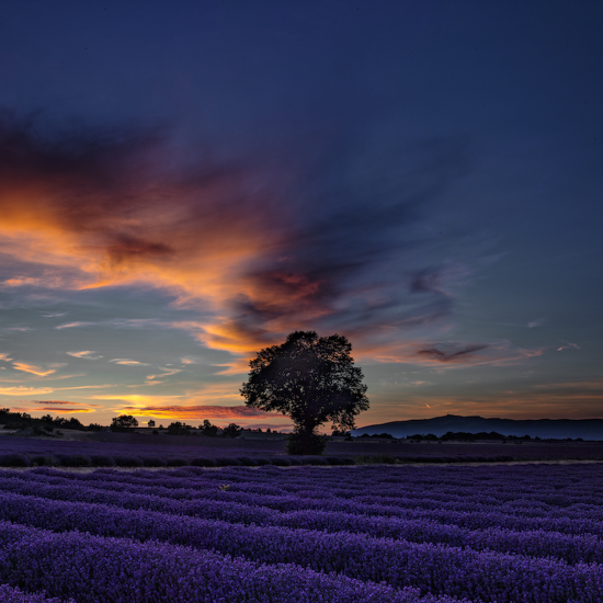 Sunset Provence 
