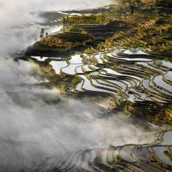 Rice Field Terraces