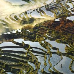 Doyishu Terraces 