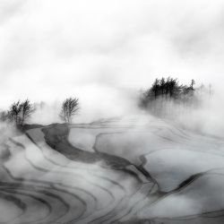 Mist Terraces 