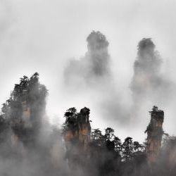 Zhangjiajie  in the  Mist 