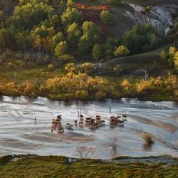 Landscape Inner Mongolia 