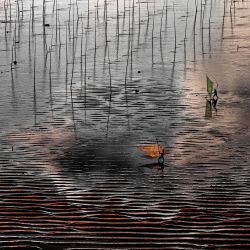 Shrimp  Fishermen 