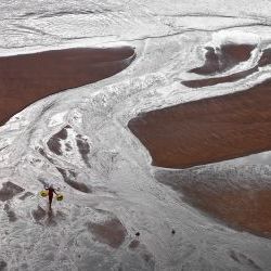 Red Abstract  Beach 