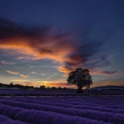 Sunset Provence 