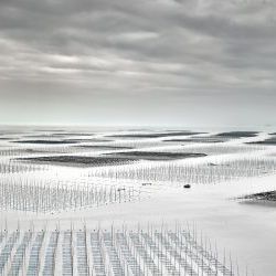 Morning View of the Seaweed Farms 