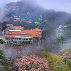 The Poetic Side of China: Xiapu & Yellow Mountain