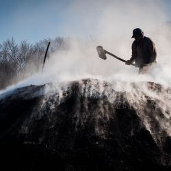 Transylvania Charcoal Worker 