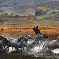 Unparalleled Beauty of Fall in Inner Mongolia