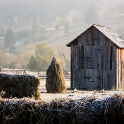 Bucovina  in Frost 