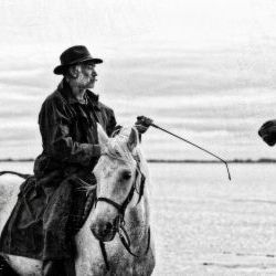 Rider in Camargue