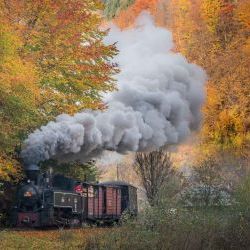 Maramures Steam Train